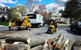 Best Commercial Tree Services  in St Gabriel, LA